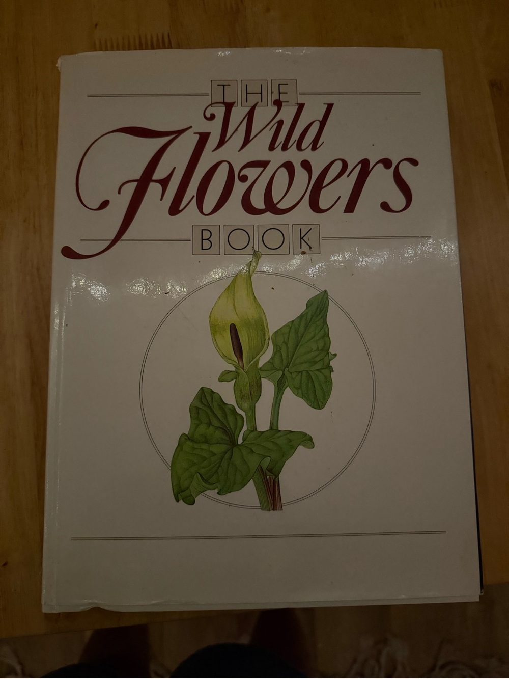 The Wild Flowers Book – Cream & Green Botanical Hardcover